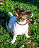 Marlow_0005
