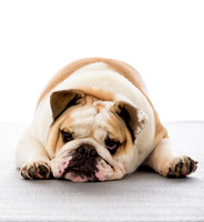 Frank_0006