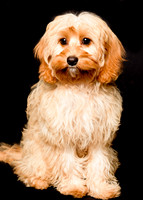 Charlie&Sophie_0001