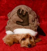 Charlie&Sophie_0002