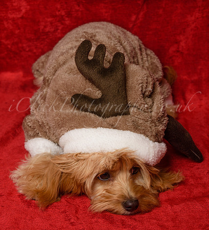 Charlie&Sophie_0002