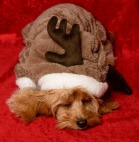 Charlie&Sophie_0003