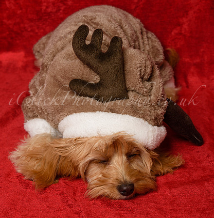 Charlie&Sophie_0003