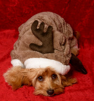 Charlie&Sophie_0004