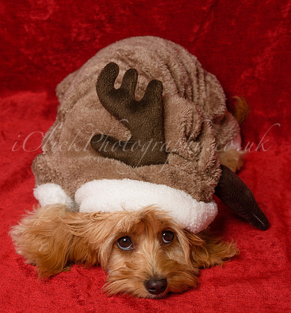 Charlie&Sophie_0004