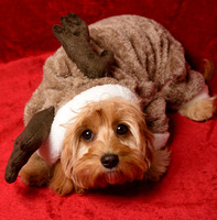 Charlie&Sophie_0005