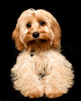 test_0001