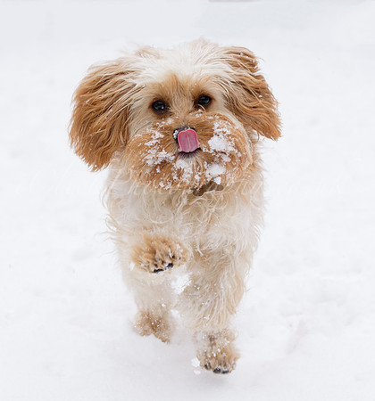 SouthwoldFeb_0003