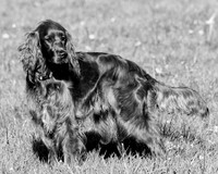 Groves2018_0004