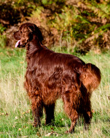 Redsetters_0001