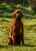 Redsetters_0002