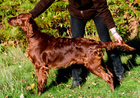 Redsetters_0017