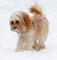 SouthwoldFeb_0008