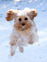 SouthwoldFeb_0001