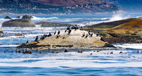 South Africa_0003