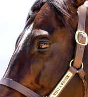 South Africa_0004