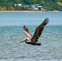 Costa Rica_0001