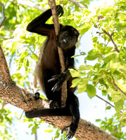 Costa Rica_0001