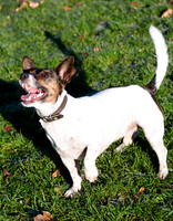 Marlow_0007