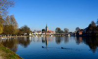 Marlow_0008