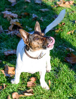 Marlow_0001