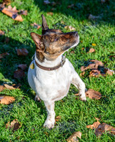 Marlow_0004